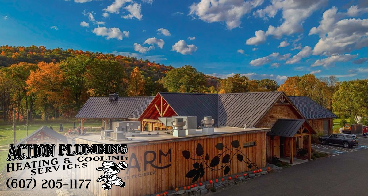 Port Crane NY Plumbing & HVAC Repair